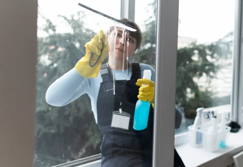 Nettoyage de vitres intérieures et extérieures à Saint-Romain-de-Jalionas